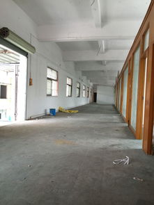 精工標準，輕享無憂——精品廠房，火熱招租中